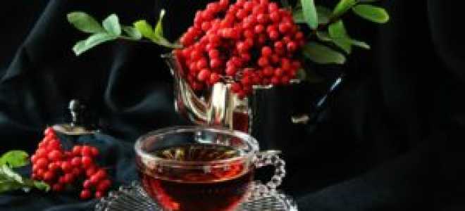 Чай из рябины черноплодной и красной